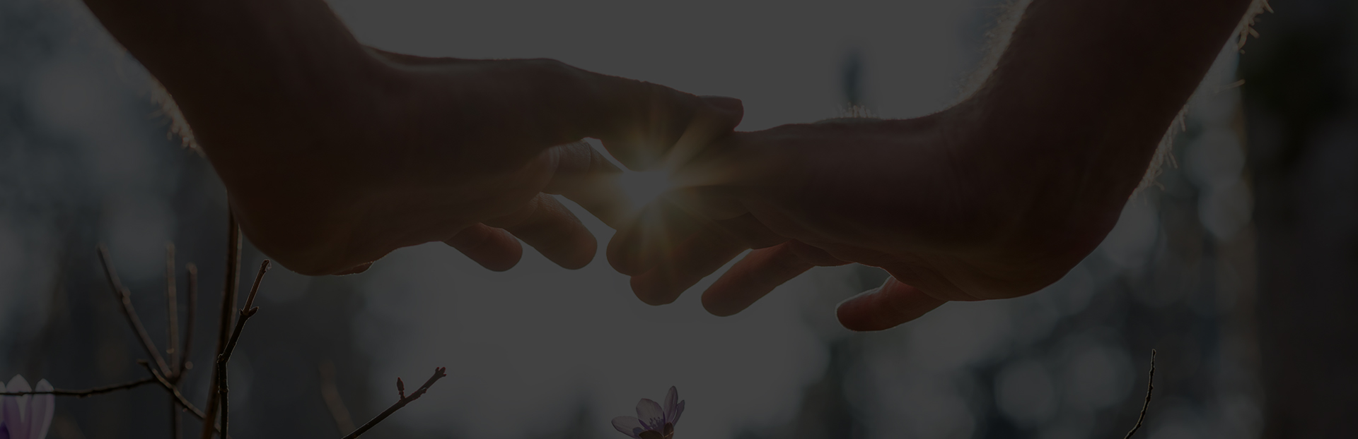 specials-banner